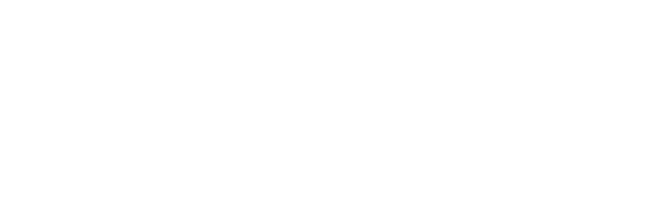 Servio Logo